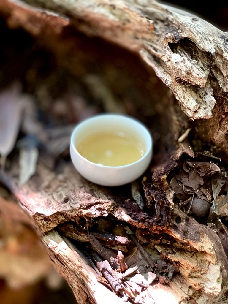 ca55cf52-d32c-4b2e-a910-46dd6a25d517